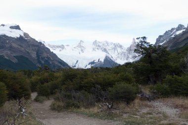 Güney Amerika 'daki Arjantin patagonisi' ndeki Los Glaciares Ulusal Parkı