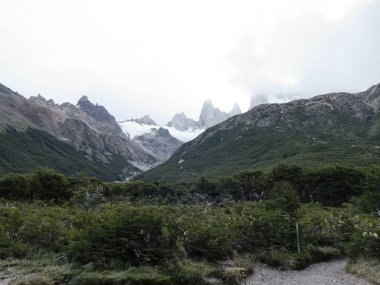 Güney Amerika 'daki Arjantin patagonisi' ndeki Los Glaciares Ulusal Parkı