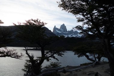 Güney Amerika 'daki Arjantin patagonisi' ndeki Los Glaciares Ulusal Parkı