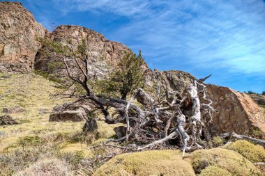 Güney Amerika 'daki Arjantin patagonisi' ndeki Los Glaciares Ulusal Parkı