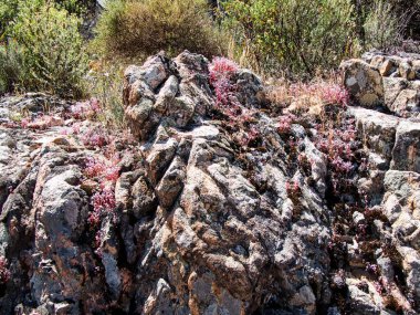 Meydan okuyan güzel GR20 patikası Korsika Fransa