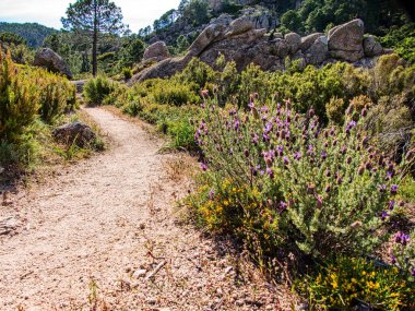 Meydan okuyan güzel GR20 patikası Korsika Fransa