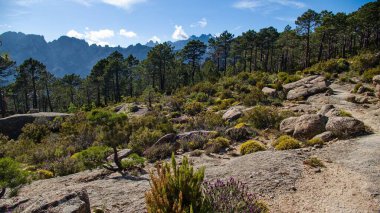 Meydan okuyan güzel GR20 patikası Korsika Fransa