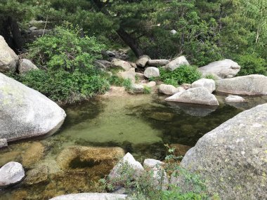 Korsika adası Fransa 'nın güzel, zorlu GR20 yolunda yürüyüş.