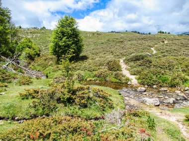 Korsika adası Fransa 'nın güzel, zorlu GR20 yolunda yürüyüş.