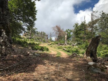 Korsika adası Fransa 'nın güzel, zorlu GR20 yolunda yürüyüş.