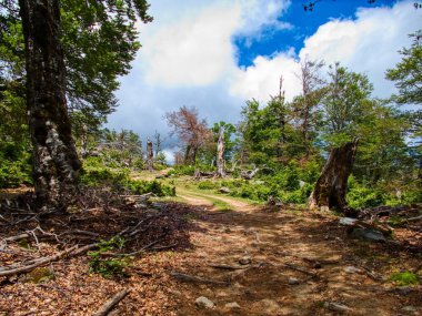 Korsika adası Fransa 'nın güzel, zorlu GR20 yolunda yürüyüş.