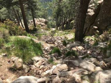 Korsika adası Fransa 'nın güzel, zorlu GR20 yolunda yürüyüş.