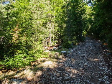 GR20 Korsika adası Fransa 'sında yürüyüş yapmak...