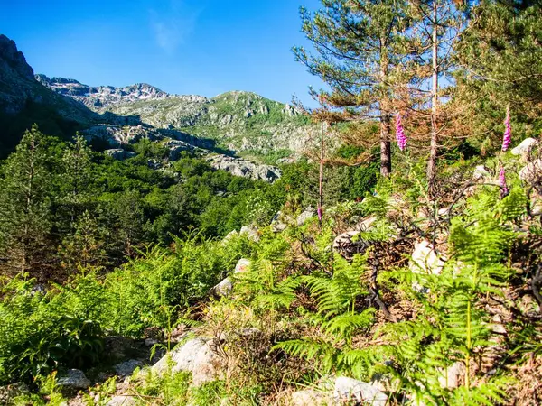 stock image challenging beautiful hiking the GR20 trail corsica island france