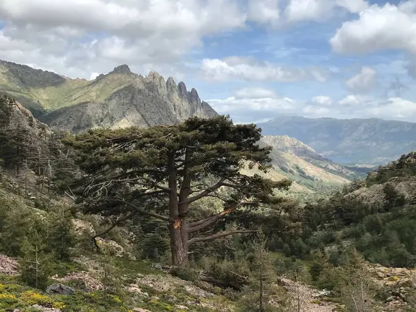 GR20 Korsika adası Fransa 'sında yürüyüş yapmak...