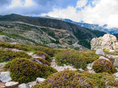 Muhteşem bir yürüyüş. Korsika adası Fransa 'sında yürüyüş.