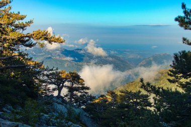Muhteşem bir yürüyüş. Korsika adası Fransa 'sında yürüyüş.