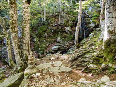 Muhteşem bir yürüyüş. Korsika adası Fransa 'sında yürüyüş.