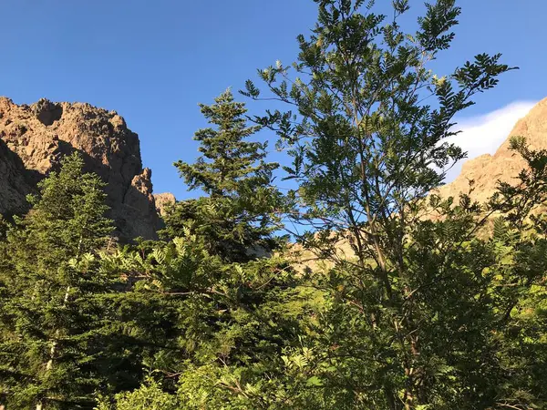 Muhteşem bir yürüyüş. Korsika adası Fransa 'sında yürüyüş.