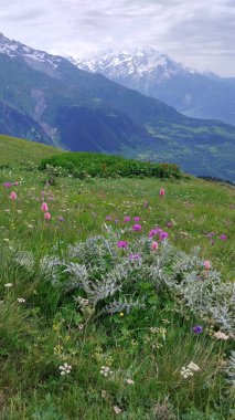 İnanılmaz güzel dağlar Svaneti Gürcistan 'da doğa.
