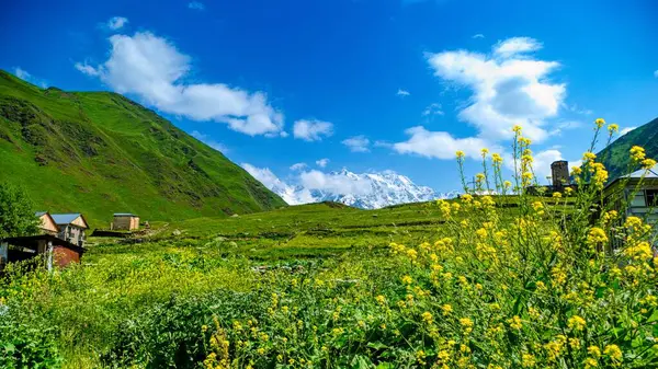 Stock image historical svan mountain village ushguli in georgia