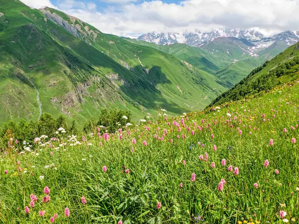 stock image amazing beautiful mountains landscape annd nature in svaneti georgia