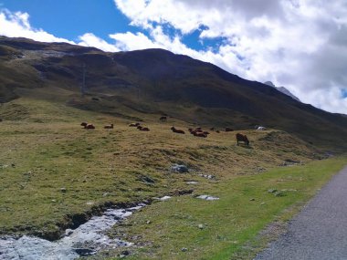 Pireneler doğa manzarası yol bisikletiyle ünlü geçitten