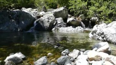 Doğadaki saf su nehri.