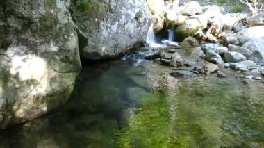 Doğadaki saf su nehri.