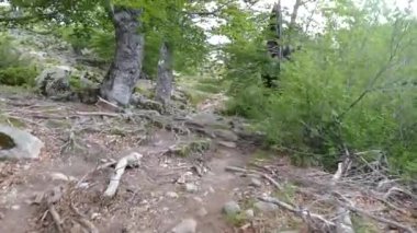 Güzel doğa Corse 'da GR20 yürüyüşü