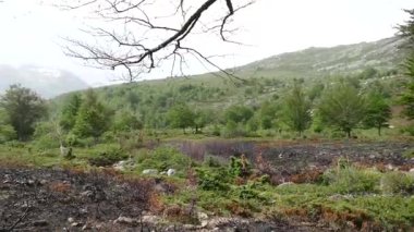 Güzel doğa Corse 'da GR20 yürüyüşü