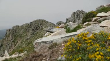 Corse Adası 'nda güzel bir yürüyüş.