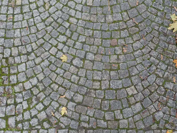 Yürüme yolundaki gri şehir kaldırım kiremitleri dokusu