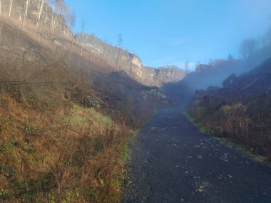 beautiful nature of bohemian switzerland national park  in europe clipart