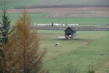 Sonbaharda tarlada küçük bir çiftlik evi