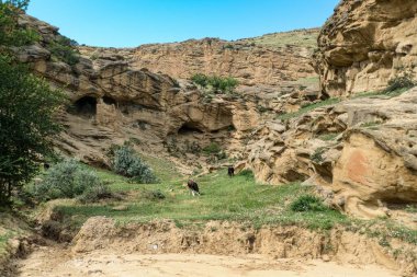 Gürcistan 'daki arkeolojik bölgede güzel kaya oluşumları
