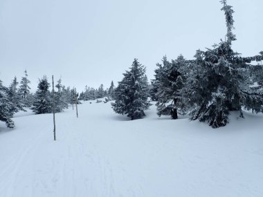 Kışın karlı Czech krkonose dağları