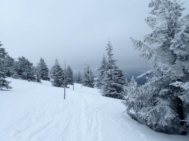 Kışın karlı Czech krkonose dağları