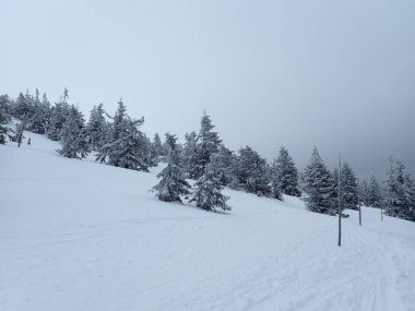 Kışın karlı Czech krkonose dağları