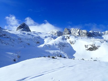 Avustralya 'da kışın güzel karlı dachstein dağları