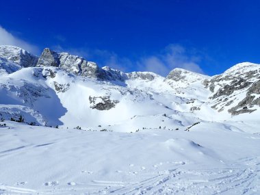 Avustralya 'da kışın güzel karlı dachstein dağları