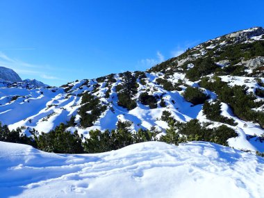 Avustralya 'da kışın güzel karlı dachstein dağları