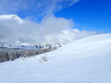 Meşhur sıçrayan varış yeri karla kaplı kış vadisidir.