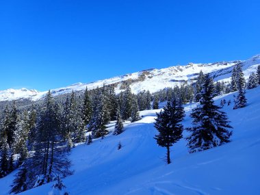 Meşhur sıçrayan varış yeri karla kaplı kış vadisidir.