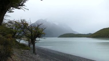 Güney Amerika 'da yaz aylarında Patagonya' da inanılmaz güzellikler