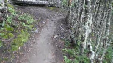 Güney Amerika 'da yaz aylarında Patagonya' da inanılmaz güzellikler