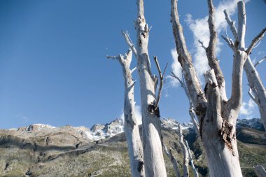 Yazın Torres del Paine 'de muhteşem patagonya doğası
