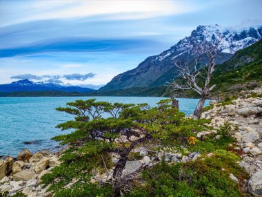 Yazın Güney Amerika 'da harika bir patagonya doğası vardır.