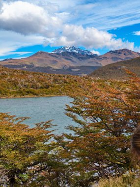 Yazın Güney Amerika 'da muhteşem patagonya doğası