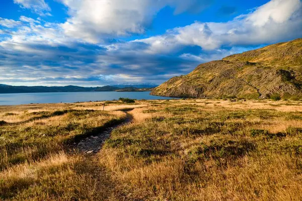 Yazın Güney Amerika 'da harika bir patagonya doğası vardır.
