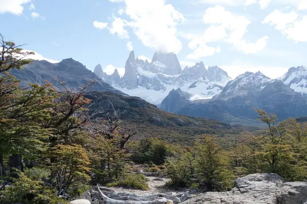 Yazın Güney Amerika 'da muhteşem patagonya doğası