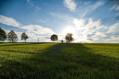 Czechia Avrupa 'daki Krusne azgın dağlarında inanılmaz güzel doğa.