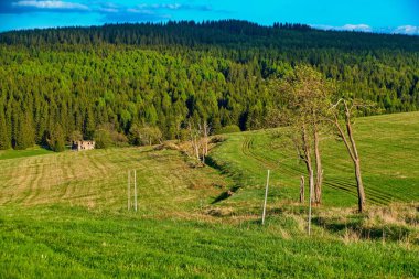 Czechia Avrupa 'daki Krusne azgın dağlarında inanılmaz güzel doğa.