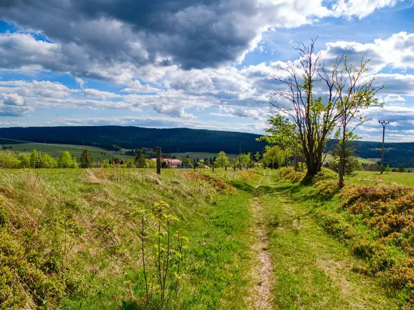 Czechia Avrupa 'daki Krusne azgın dağlarında inanılmaz güzel doğa.